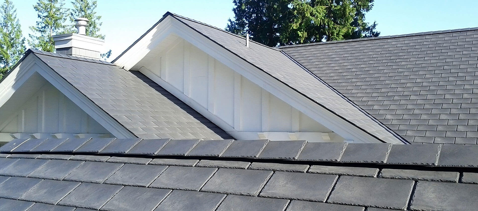 Roofs and Gutters